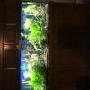 150 gallon aquarium with full stand/hood, all accessories and fish included
