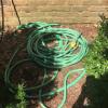 Lawn hose