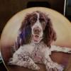 4 Danbury Mint Springer Spaniel Collector Plates $75 offer Home and Furnitures