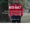 Need Bail Near Youngstown Ohio? offer Service