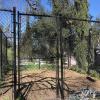 20 x 20 Gated Dog Run 8' height with Liocking Gate 