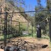 20 x 20 Gated Dog Run 8' height with Liocking Gate 