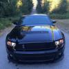 2011 Shelby Mustang - For Sale!