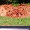 Mulch $10 a truck load offer Lawn and Garden