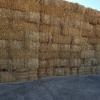 Wheat Hay offer Lawn and Garden