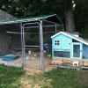 Coop with 3 Bantam Roosters and 2 Bantam hens offer Items For Sale