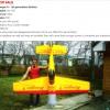 1/4 Scale IMAAC Aircraft offer Sporting Goods