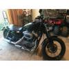 2009 Harley Davidson Nightster offer Motorcycle