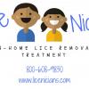 In-Home Lice Removal Service 