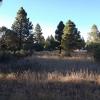 vacant land  12 miles from Las Vegas,  New Mexico offer Real Estate