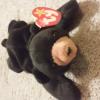 Original Blackie the Beanie Baby offer Items For Sale
