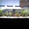 240 Gallon Acrylic Aquarium with Everything Included offer Garage and Moving Sale