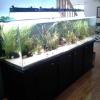 240 Gallon Acrylic Aquarium with Everything Included