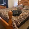 ENTIRE BEDROOM SET W/ MATTRESS INCLUDED offer Home and Furnitures