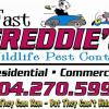 Pest Control offer Home Services