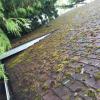 Roof Cleaning offer Professional Services