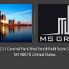 MS Group offer Professional Services