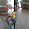 CARPET CLEANING
