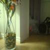 $10  20 inch tall glass vase