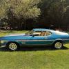 1973 Ford Mustang Mach 1 $15000