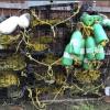 Crab pots offer Items For Sale