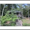 Island Cottage for rent on Lake Muskoka offer Vacation Home For Rent