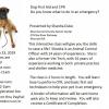 Dog First Aid & CPR Class offer Classes