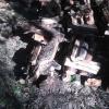 Get ur frsh cut fire wood 10 offer Lawn and Garden