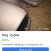 Dog igloos 