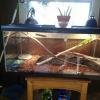 55gallon tank  offer Items For Sale