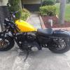 Harley -Davidson 48 offer Motorcycle