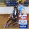Horse back riding lessons  offer Home Services