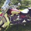 2008 Honda Shadow 750