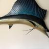 Sailfish wall mounting offer Sporting Goods