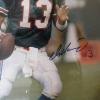 Hall of Fame QB Dan Marino, Pictur