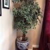 Artificial Ficus Tree & Asian Ceramic Pot/Stand