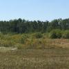 80 acres land for sale