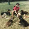 Dog training/ boarding/education  offer Professional Services
