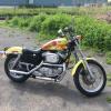 1996 Harley Davidson 883 with 1200 Kit