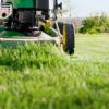 Lawn Care in Saskatoon