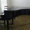 Piano  offer Musical Instrument