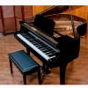 Tokai G 150 grand piano offer Musical Instrument