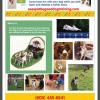 See spot Be Good Dog Training Classes