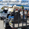 GOLF CART Delivery / Transport