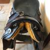 Endurance saddle and breast strap