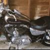 2004 Harley Davidson 1200 Sportster