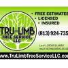 Tree Service  offer Service