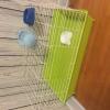 Guinea Pig Cage (Or Small Reptiles) offer Items For Sale