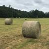 4x5 net wrapped hay offer Lawn and Garden