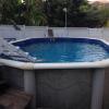 Above ground pool offer Lawn and Garden